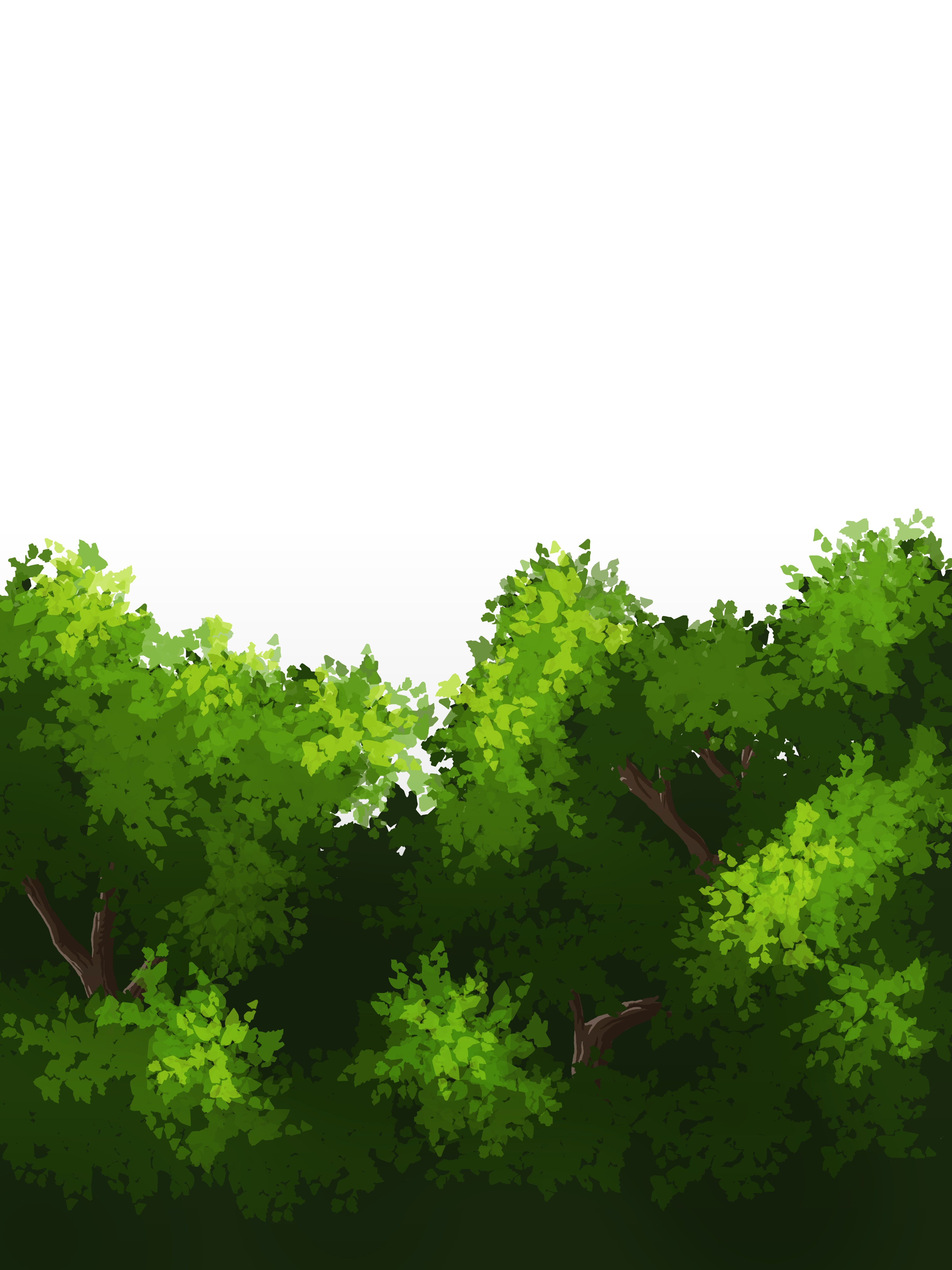 Foreground thicket of bushes